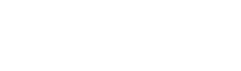 Partnership for College Completion 2021 logo white